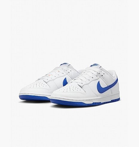 Чоловічі кросівки NIKE DUNK LOW RETRO DV0831-104 - 43