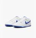 Мужские кроссовки NIKE DUNK LOW RETRO DV0831-104 - 43