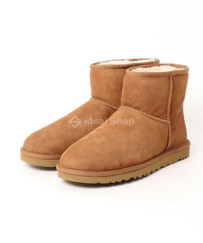 1002072 Men's 40 рыжие