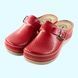 Женские анатомические сабо Fratelli Babb D-300