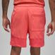 Чоловічі шорти JORDAN FLT MVP MESH SHORT F2 DX9722-814 - M