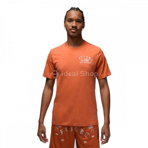 Мужская футболка JORDAN FLT ARTST SRS SS CREW DX9559-812 - L