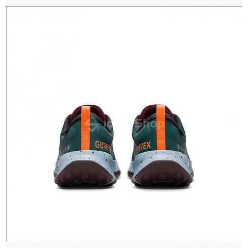 Чоловічі кросівки NIKE JUNIPER TRAIL 2 GTX FB2067-300 - 48.5