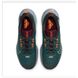 Чоловічі кросівки NIKE JUNIPER TRAIL 2 GTX FB2067-300 - 48.5