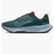 Чоловічі кросівки NIKE JUNIPER TRAIL 2 GTX FB2067-300 - 48.5