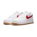 Мужские кроссовки NIKE AIR FORCE 1 LOW RETRO DJ3911-102 - 42