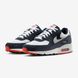 Мужские кроссовки NIKE AIR MAX 90 DM0029-400 - 39