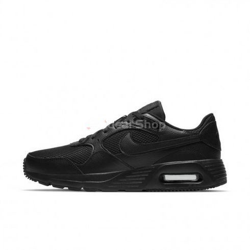 Męskie buty sportowe NIKE AIR MAX SC CW4555-003 - 40.5