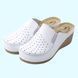 Женские анатомические сабо Fratelli Babb D-310