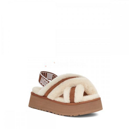 1121550 Disco Cross Slides Chestnut 36