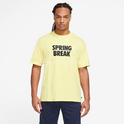 Мужская футболка NIKE M NK SB TEE SPRING BREAK DX9457-706 - L